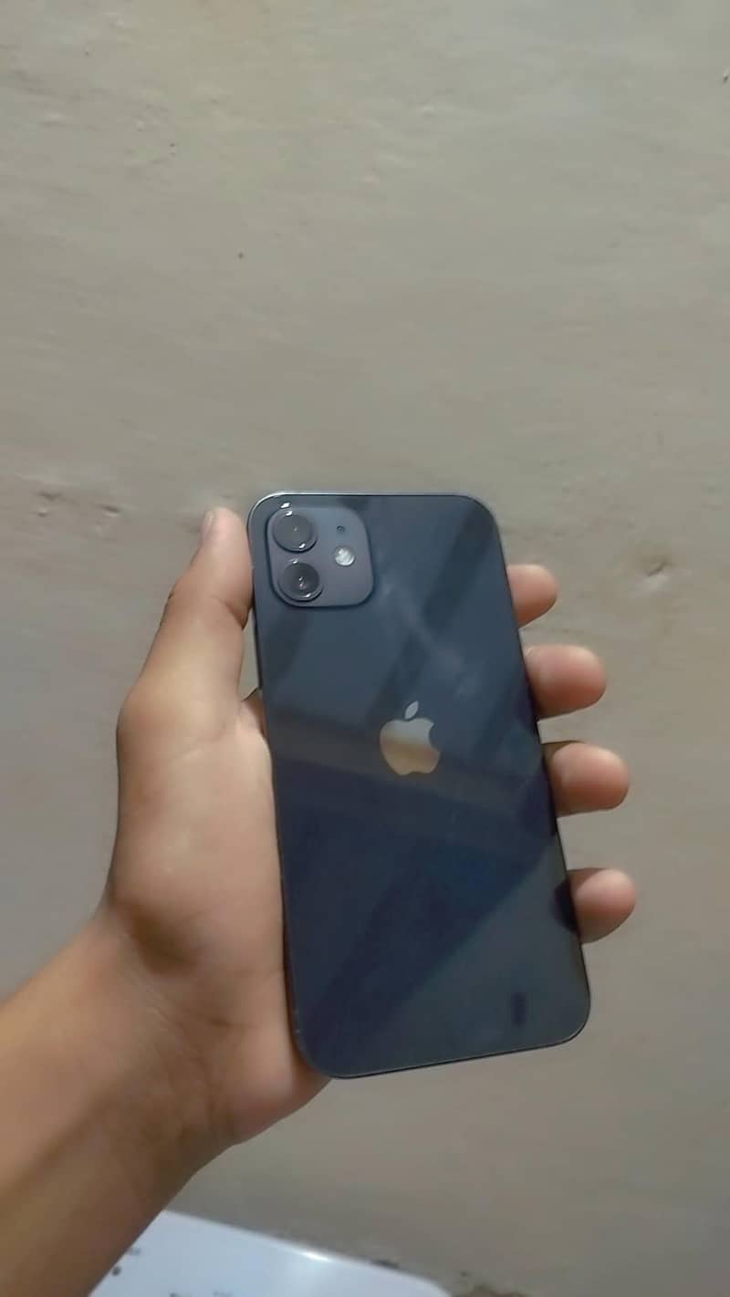 Apple iPhone 12 1