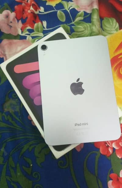 iPad mini 7 Purple