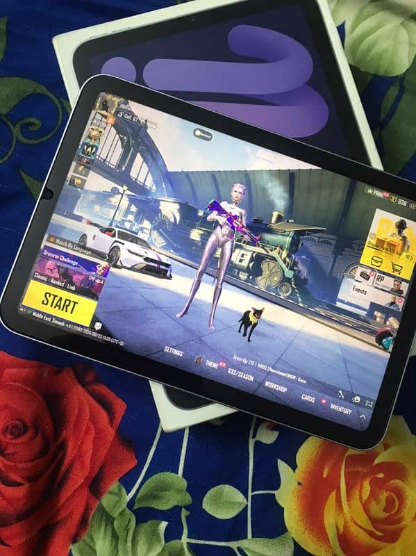 iPad mini 7 Purple 1