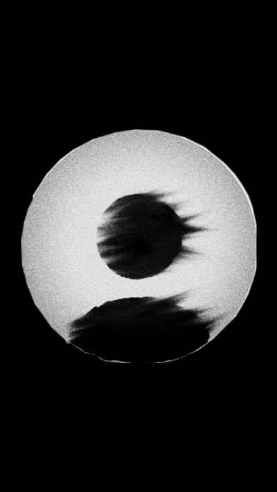 D.M
