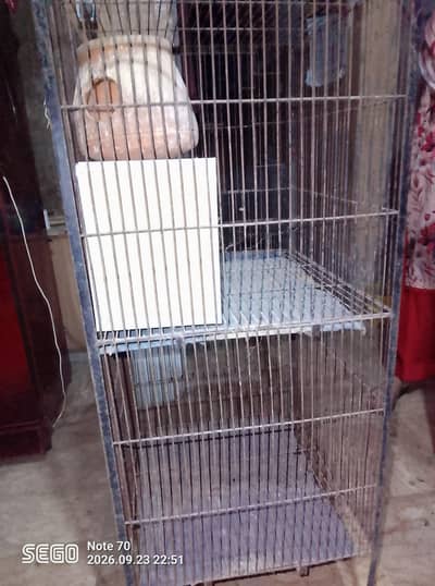 Brad. cage