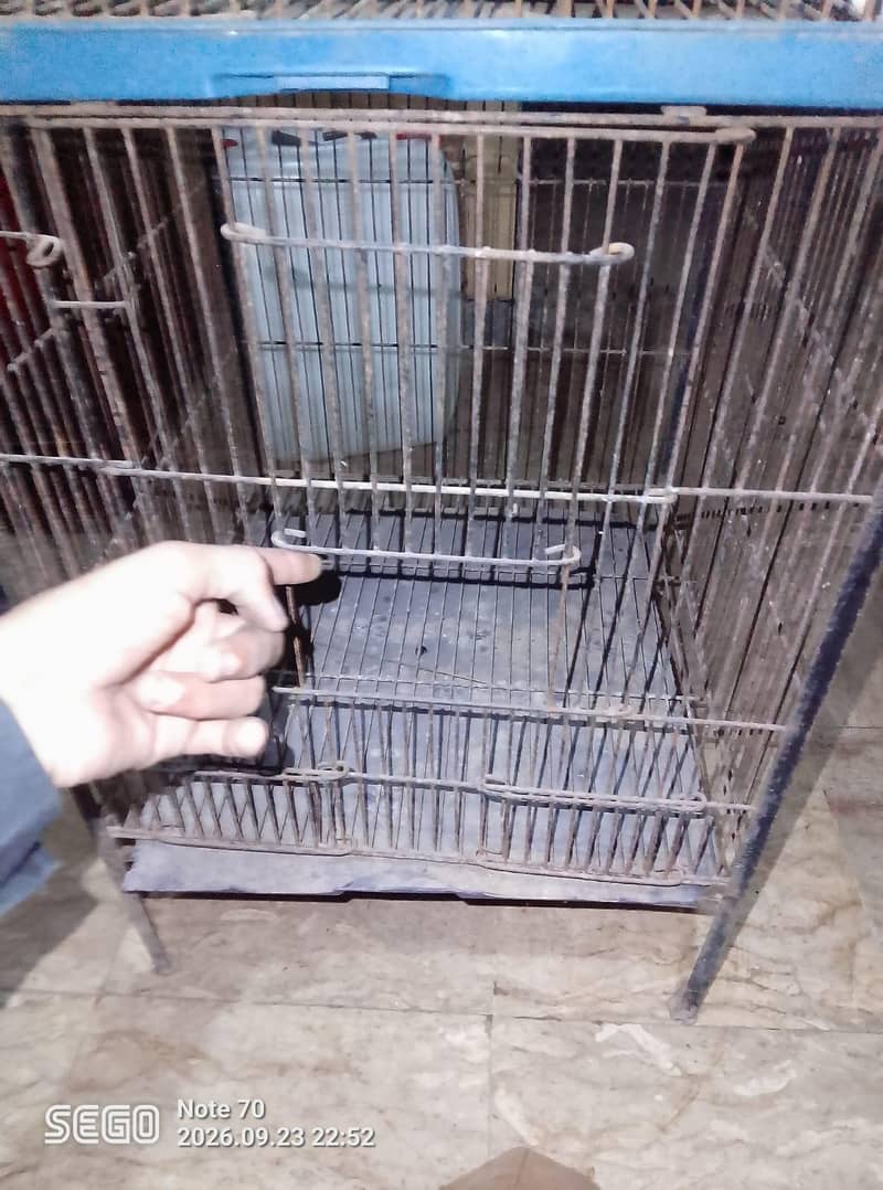 Brad. cage 15