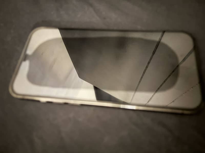 Apple iPhone 12 Pro Max 1