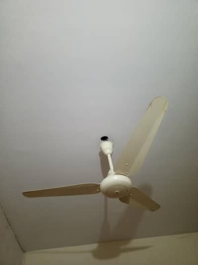 10 by 10 condition sk fan 56 inch for sale