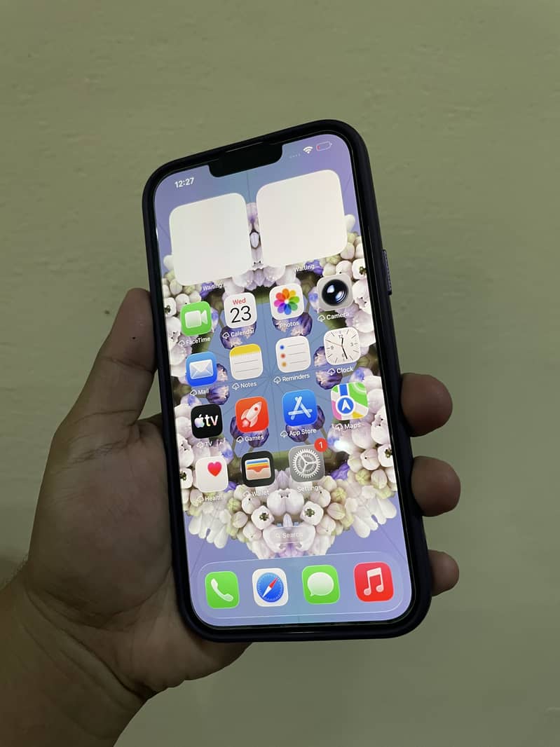 Apple iPhone 13 Pro Max 1