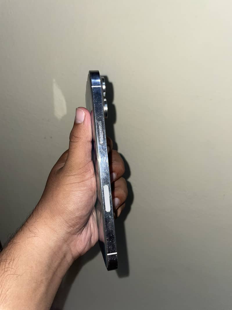 Apple iPhone 13 Pro Max 2