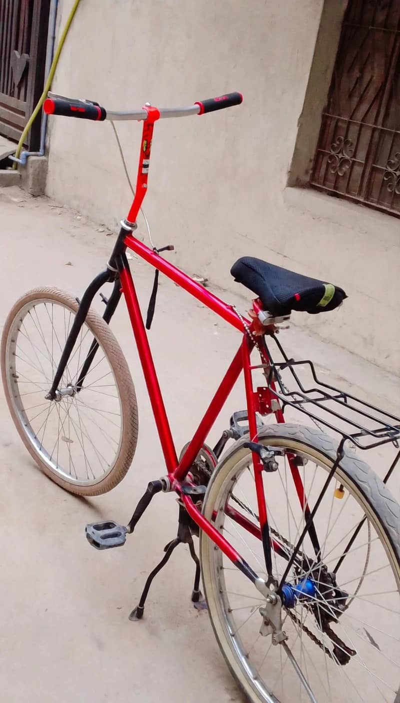 Phoenix bicycle 1