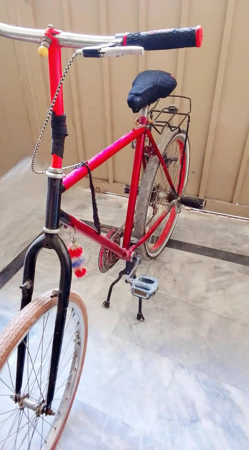 Phoenix bicycle 2