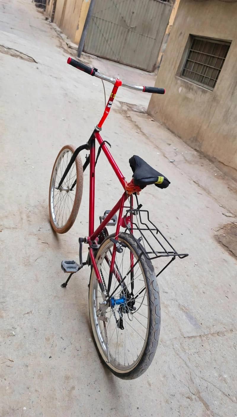Phoenix bicycle 3
