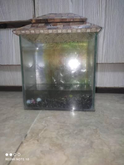 Mini Aquarium