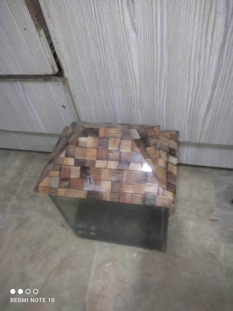 Mini Aquarium 1