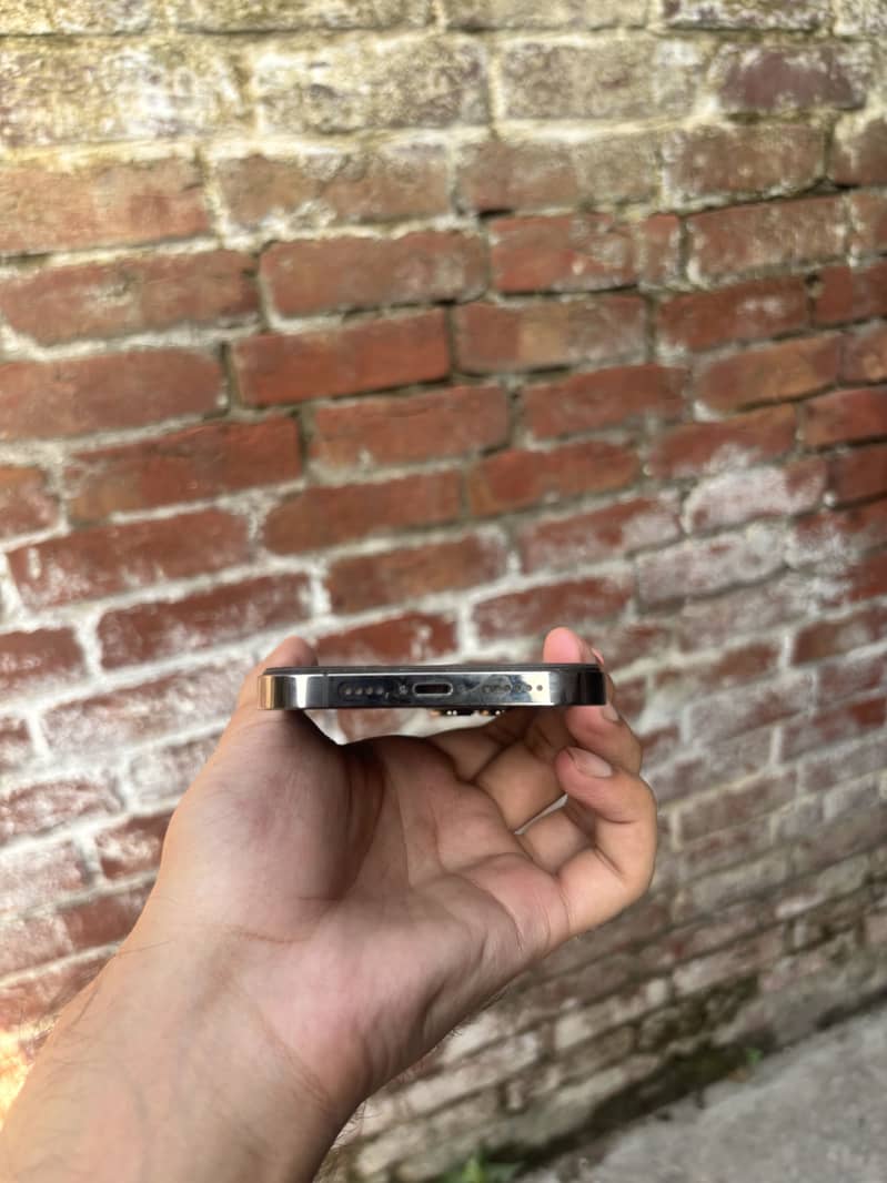Apple iPhone 13 Pro Max 1