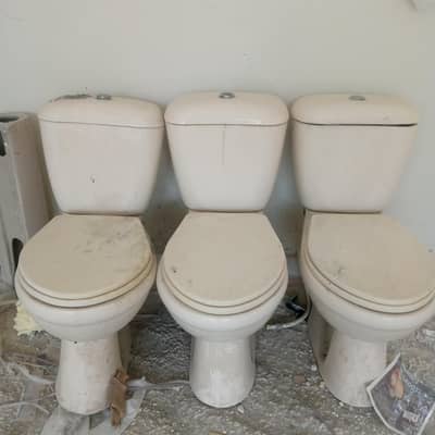 English seet for sale