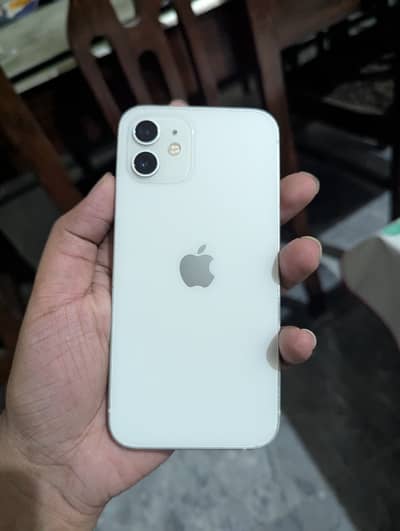 Apple iPhone 12 03001318711