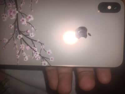 Apple iPhone X xs max