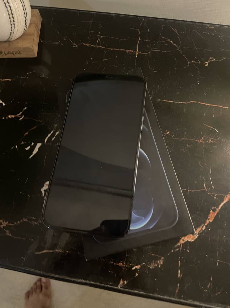Apple iPhone 12 Pro Max 2