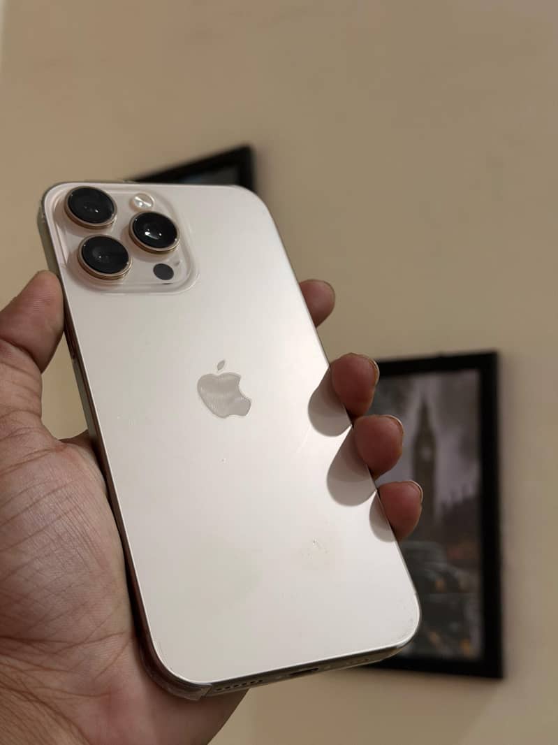 Apple iPhone 16 Pro Max 1