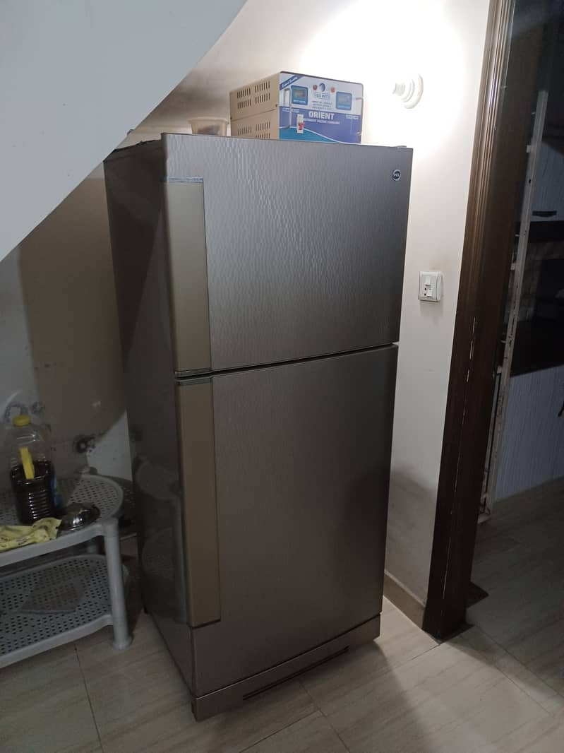 Fridge 1