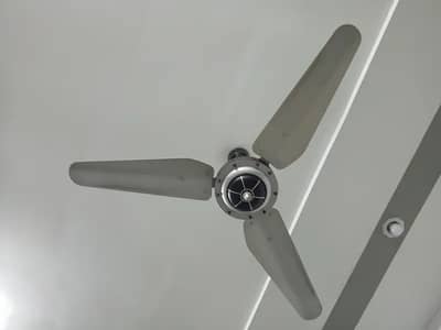 11 Ceiling Fans for sale