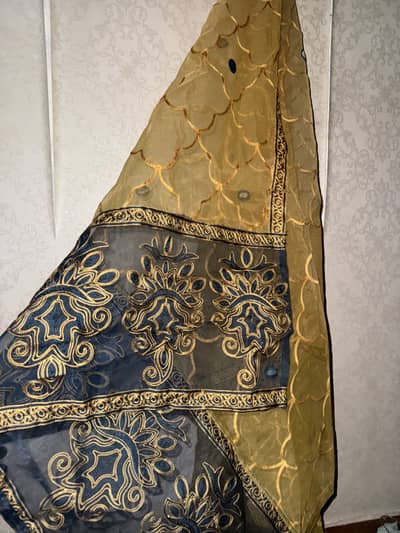 Adan libas brand dress