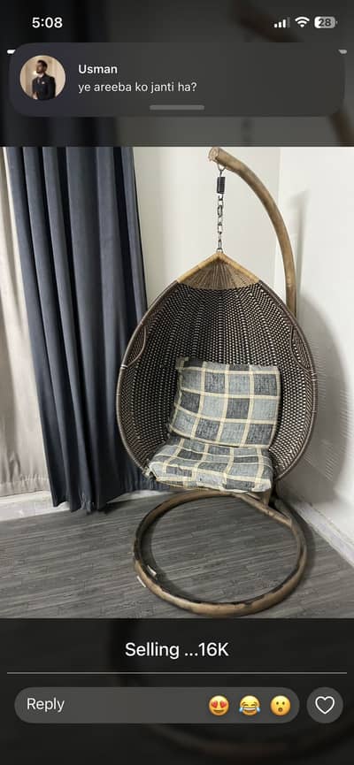 Hanging Egg Swing