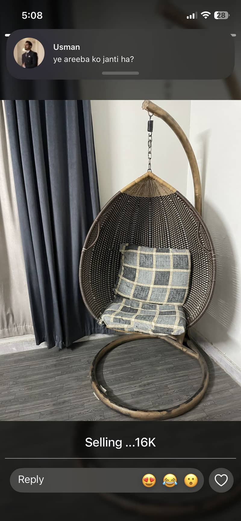 Hanging Egg Swing 0