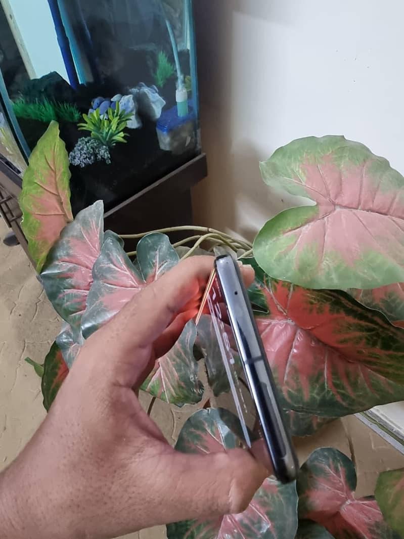 Google Pixel 7 Pro 3