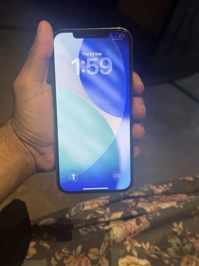 Apple iPhone 12 Pro Max