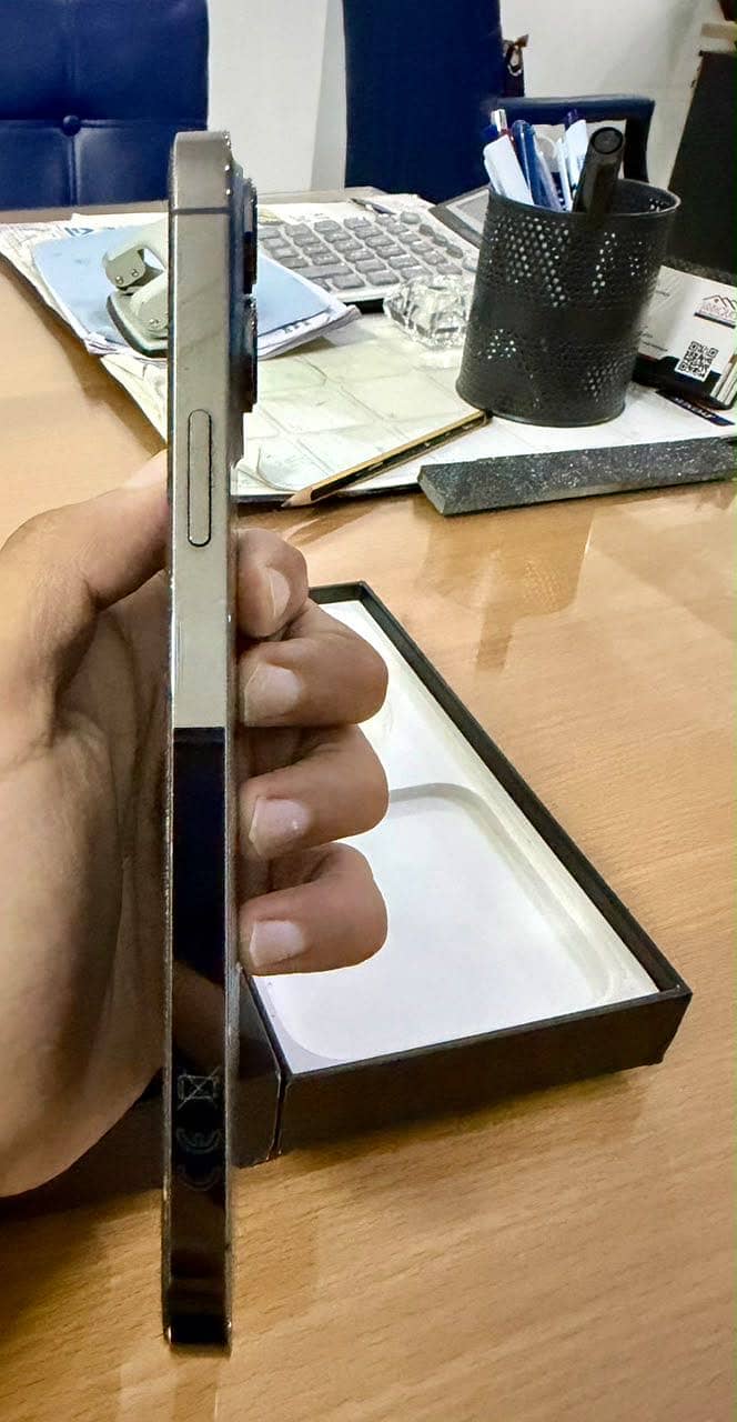 Apple iPhone 13 Pro Max 3