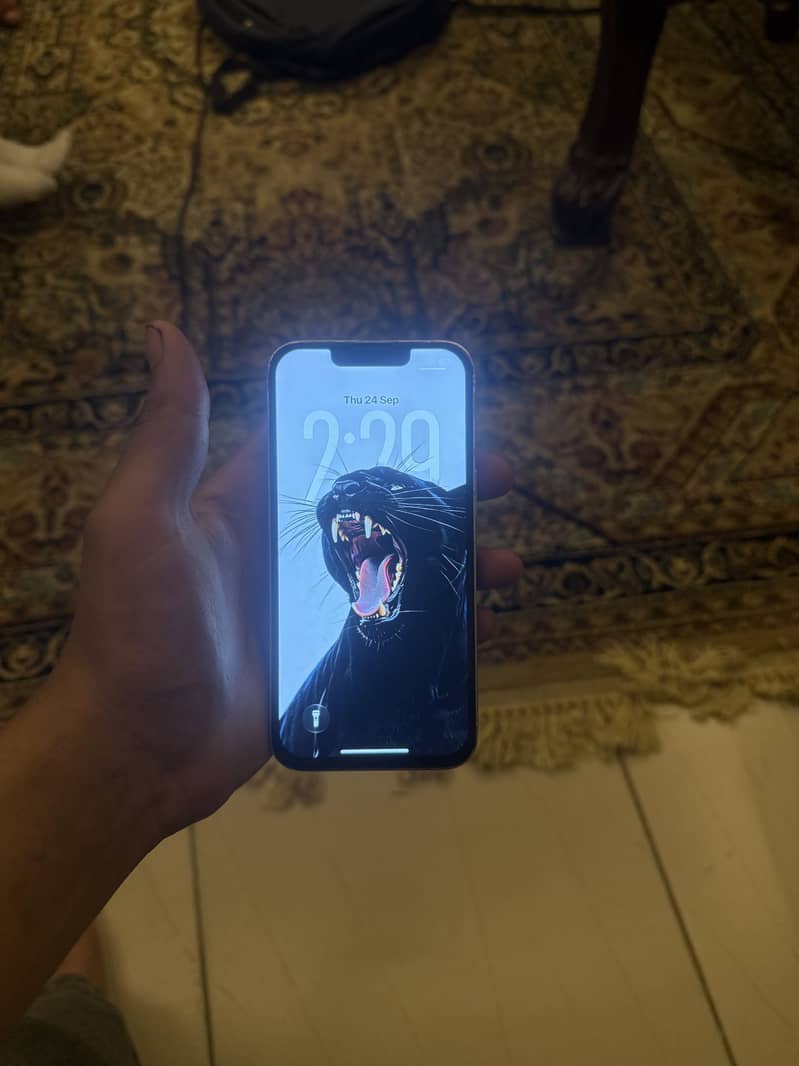 Apple iPhone 13 6
