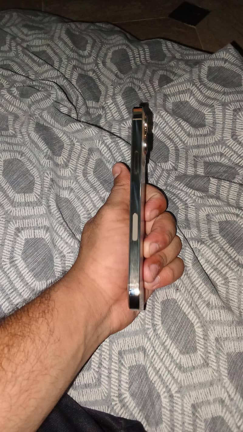 Apple iPhone 13 Pro Max 1