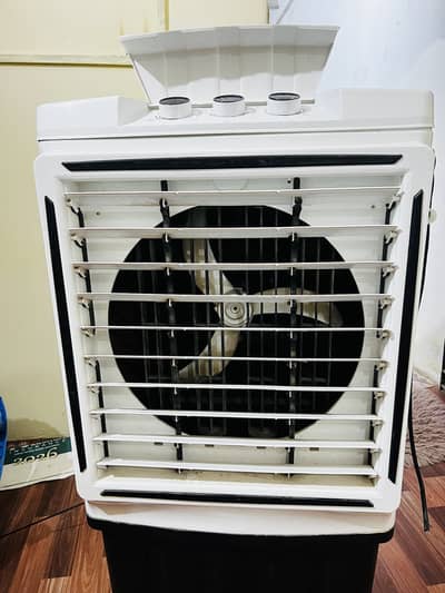 M -2050