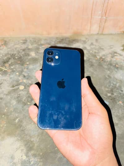 Apple iPhone 12 iphone 12 jv al ok hai water pack sealed phone read