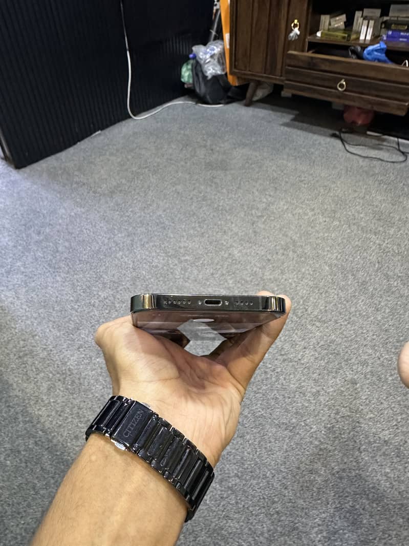 Apple iPhone 13 Pro Max 1