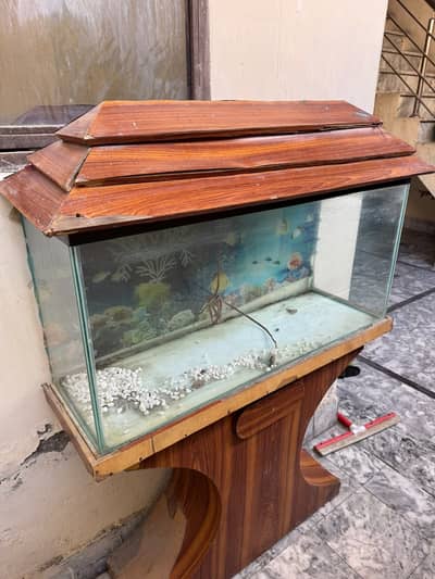 Fish aquarium