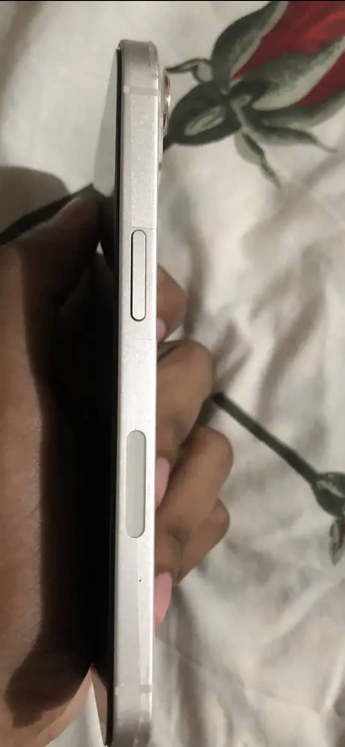 Apple iPhone 13 0