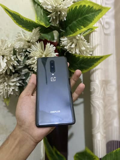 One Plus 8 chance wala