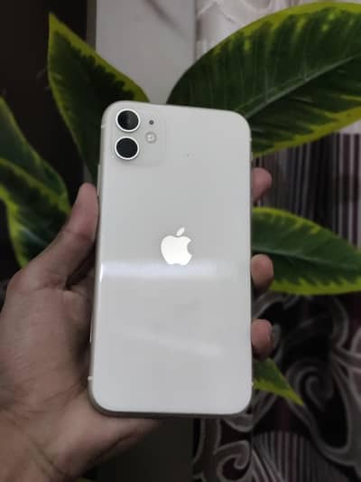 Apple iPhone 11 original set