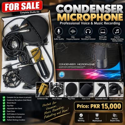 Professional Podcast Condenser Mic Voiceover