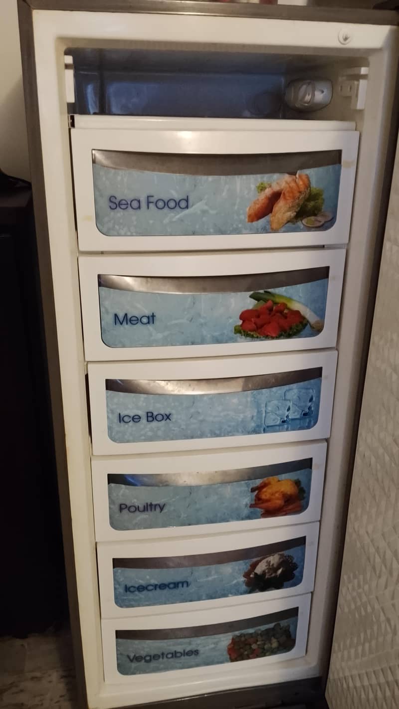 freezer 1