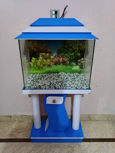 Fish Aquarium 2 Feet