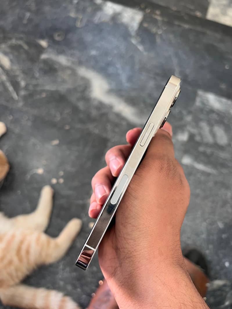 Apple iPhone 13 Pro 1