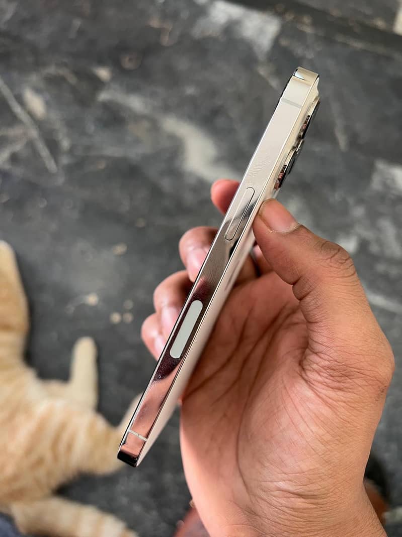 Apple iPhone 13 Pro 3