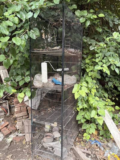 cage for sale