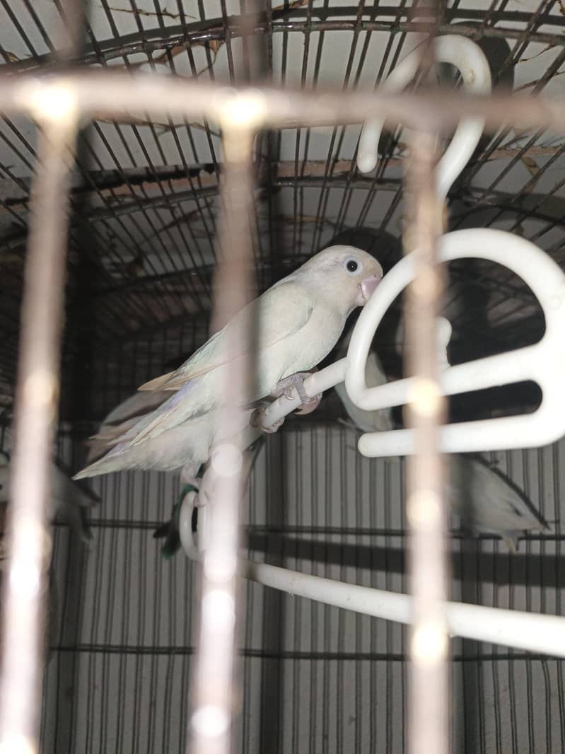 undefined 1