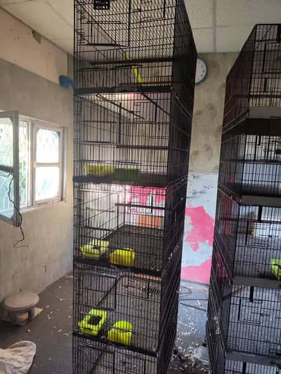 lovebirds cage for sale. .