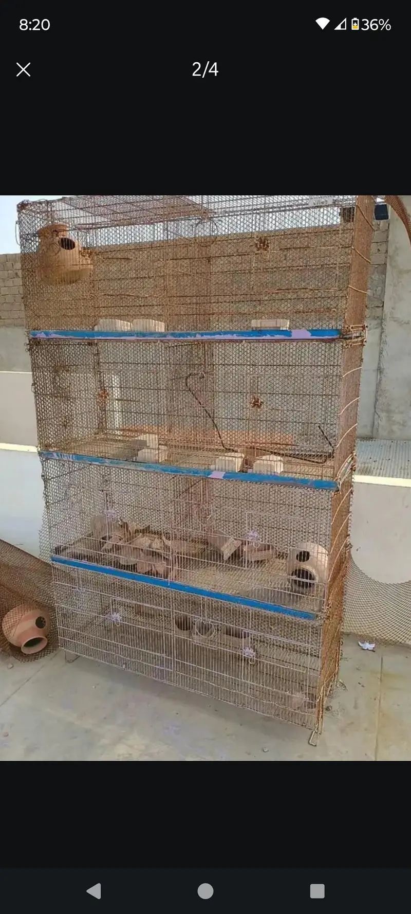 cage 8 portion best for budgies lovebird cocktail finches and jawa — photo 2