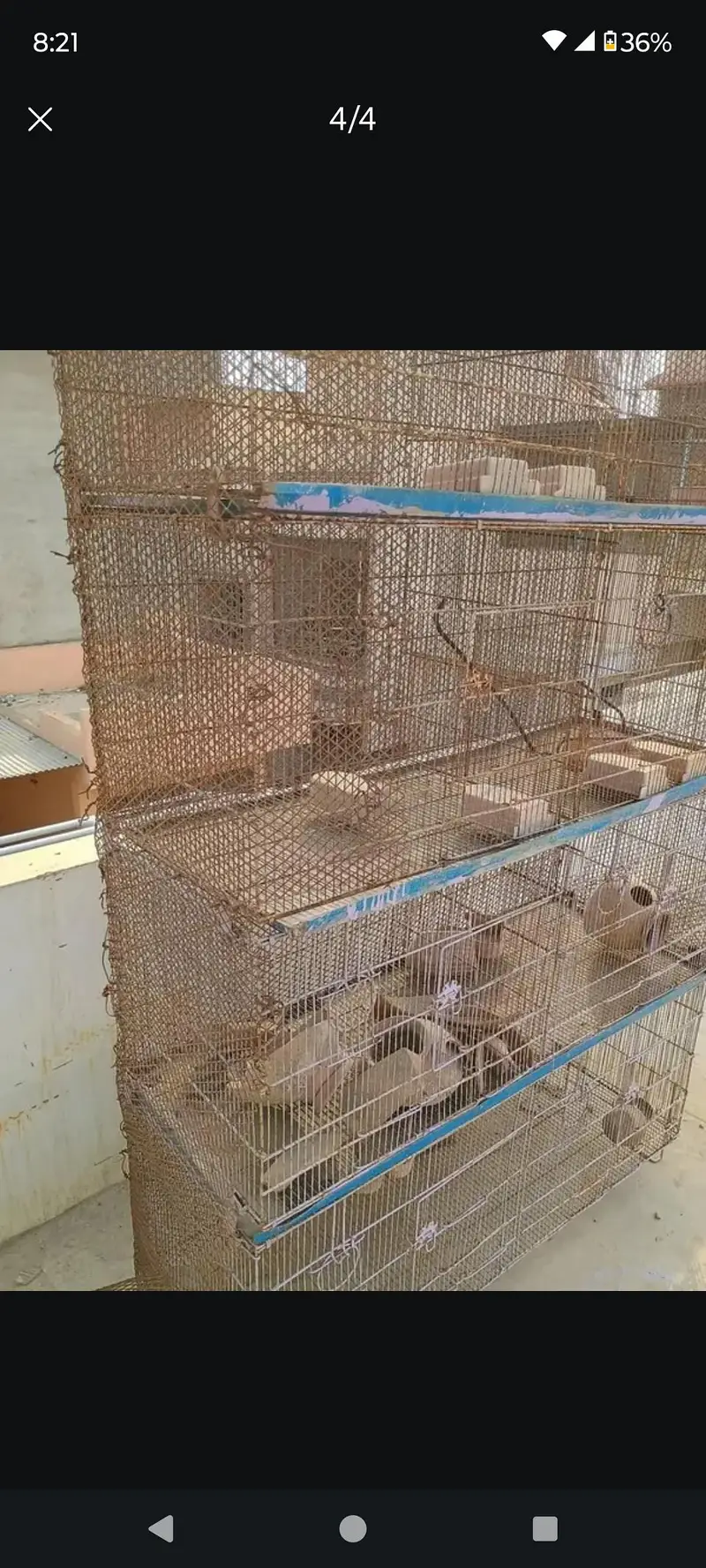 cage 8 portion best for budgies lovebird cocktail finches and jawa — photo 3