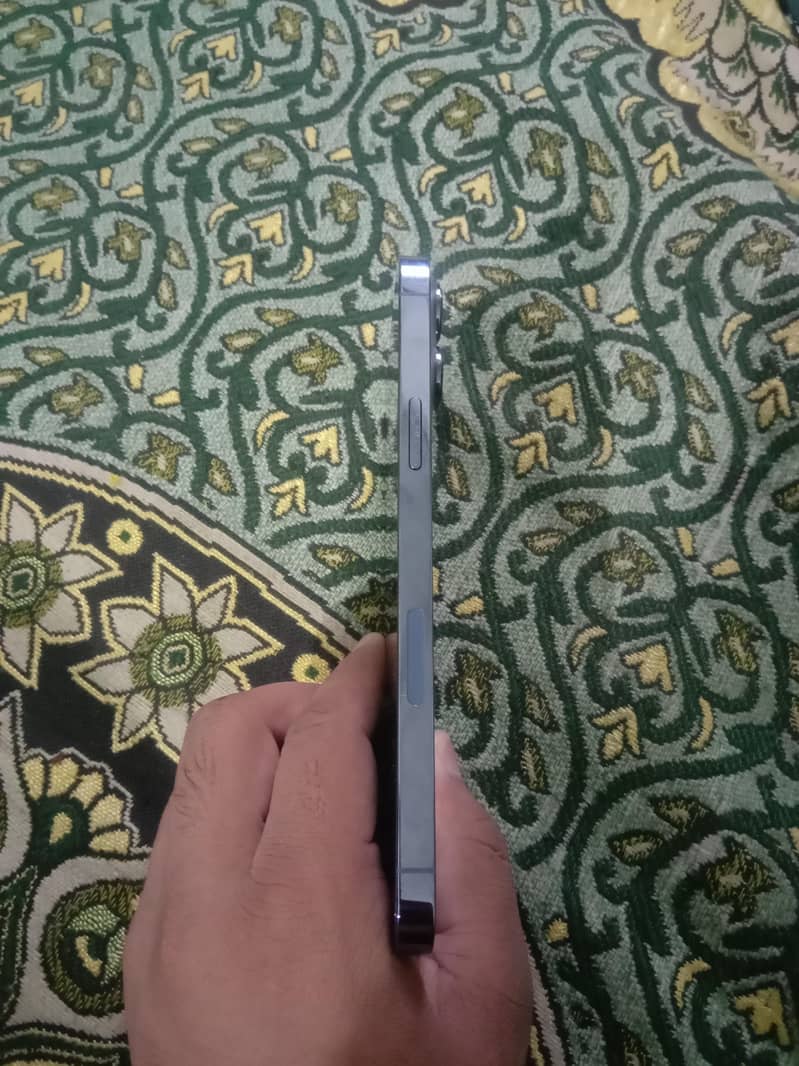 Apple iPhone 13 Pro Max 1