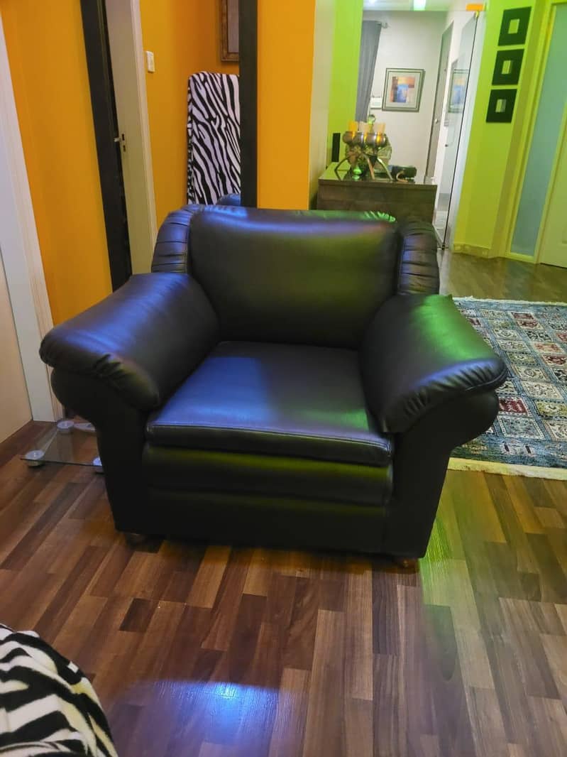 sofa leather 2